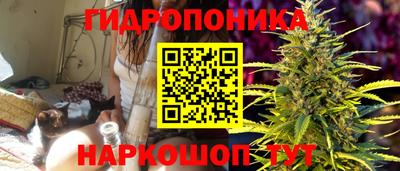 ГАЛЛЮЦИНОГЕННЫЕ ГРИБЫ Ставрополь