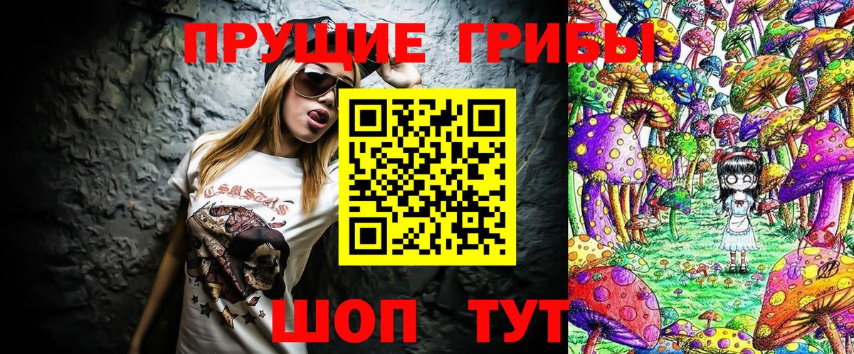 Норильск  Галлюциногенные грибы прущие грибы  Вход с VPN 
